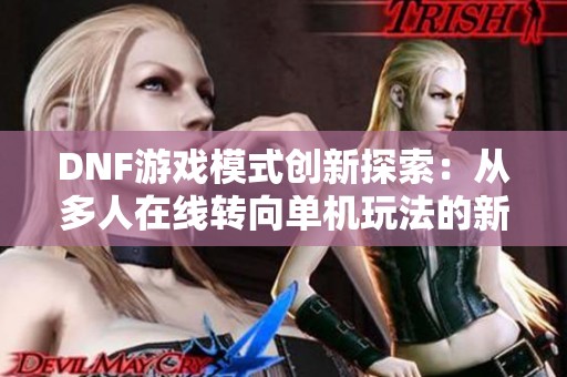 DNF游戏模式创新探索：从多人在线转向单机玩法的新体验