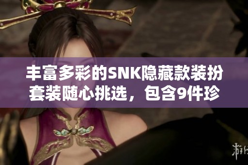 丰富多彩的SNK隐藏款装扮套装随心挑选，包含9件珍稀装备