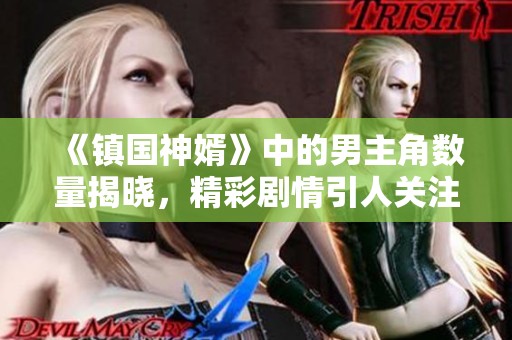 《镇国神婿》中的男主角数量揭晓，精彩剧情引人关注
