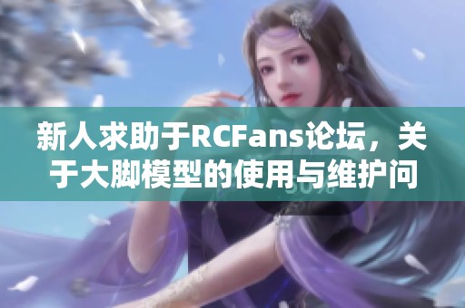 新人求助于RCFans论坛，关于大脚模型的使用与维护问题