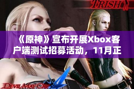 《原神》宣布开展Xbox客户端测试招募活动，11月正式上线！