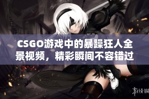 CSGO游戏中的暴躁狂人全景视频，精彩瞬间不容错过