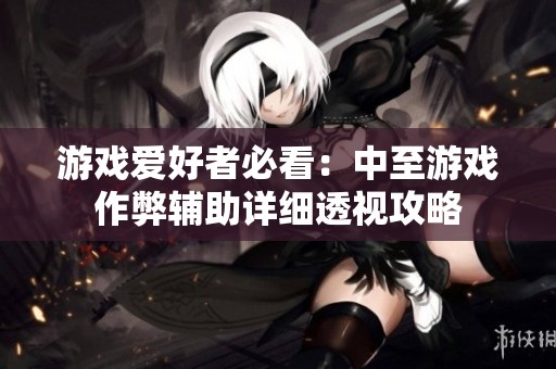 游戏爱好者必看：中至游戏作弊辅助详细透视攻略