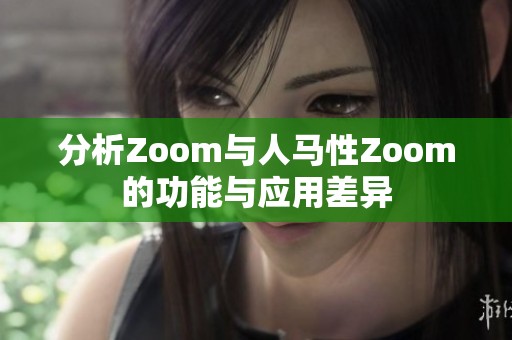 分析Zoom与人马性Zoom的功能与应用差异