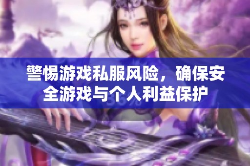 警惕游戏私服风险，确保安全游戏与个人利益保护