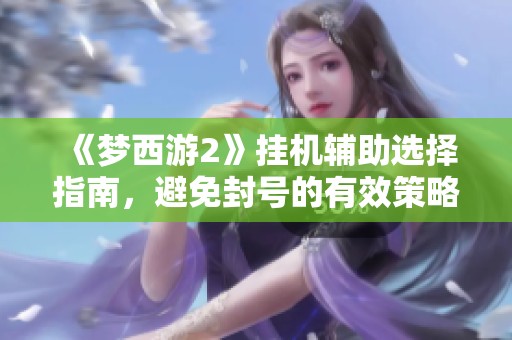 《梦西游2》挂机辅助选择指南，避免封号的有效策略