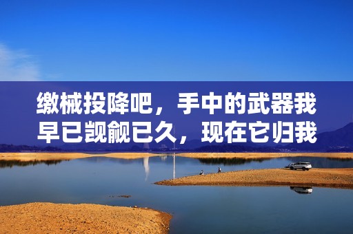 缴械投降吧，手中的武器我早已觊觎已久，现在它归我了