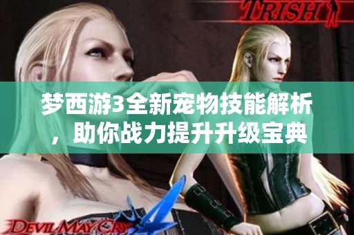 梦西游3全新宠物技能解析，助你战力提升升级宝典