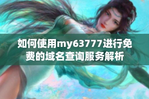 如何使用my63777进行免费的域名查询服务解析