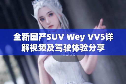 全新国产SUV Wey VV5详解视频及驾驶体验分享