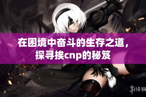 在困境中奋斗的生存之道，探寻挨cnp的秘笈