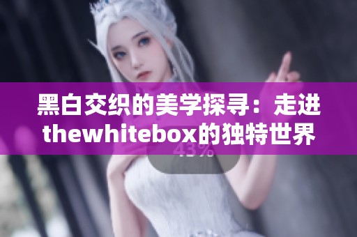 黑白交织的美学探寻：走进thewhitebox的独特世界