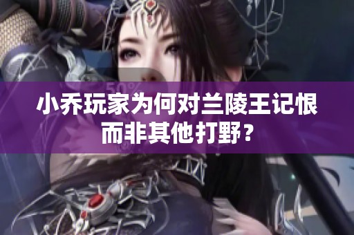 小乔玩家为何对兰陵王记恨而非其他打野？