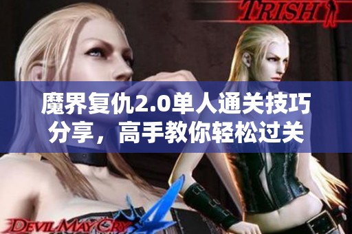 魔界复仇2.0单人通关技巧分享，高手教你轻松过关