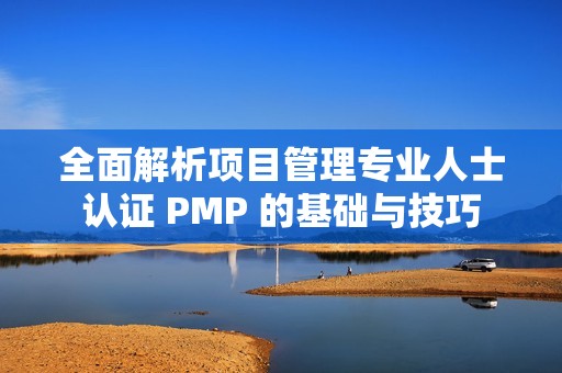 全面解析项目管理专业人士认证 PMP 的基础与技巧