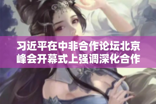 习近平在中非合作论坛北京峰会开幕式上强调深化合作共创未来