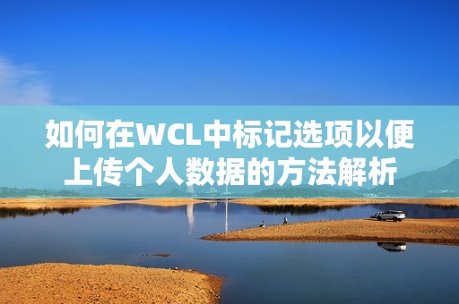 如何在WCL中标记选项以便上传个人数据的方法解析