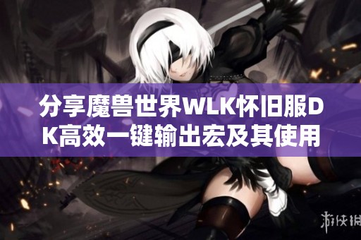 分享魔兽世界WLK怀旧服DK高效一键输出宏及其使用技巧