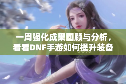 一周强化成果回顾与分析，看看DNF手游如何提升装备属性