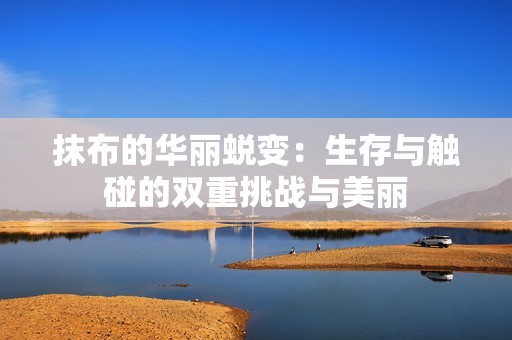 抹布的华丽蜕变：生存与触碰的双重挑战与美丽