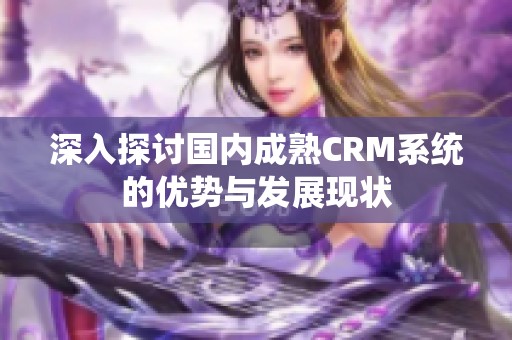 深入探讨国内成熟CRM系统的优势与发展现状