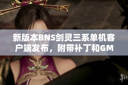 新版本BNS剑灵三系单机客户端发布，附带补丁和GM工具