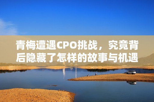 青梅遭遇CPO挑战，究竟背后隐藏了怎样的故事与机遇