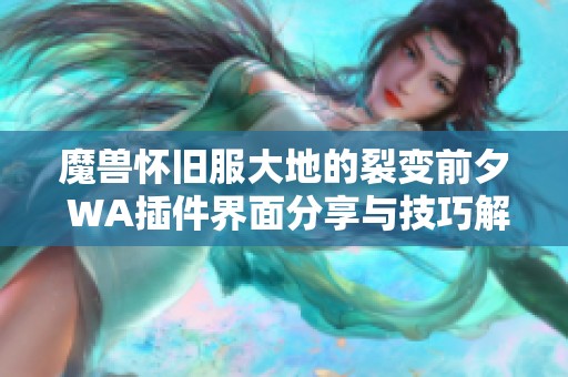 魔兽怀旧服大地的裂变前夕 WA插件界面分享与技巧解析