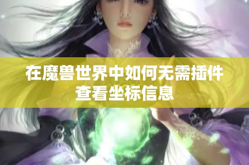 在魔兽世界中如何无需插件查看坐标信息