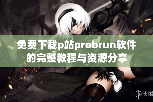 免费下载p站probrun软件的完整教程与资源分享