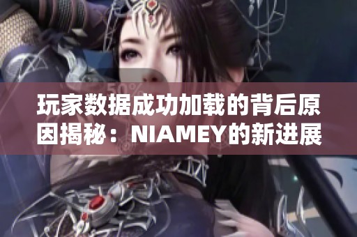 玩家数据成功加载的背后原因揭秘：NIAMEY的新进展分析