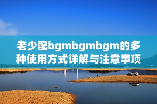 老少配bgmbgmbgm的多种使用方式详解与注意事项