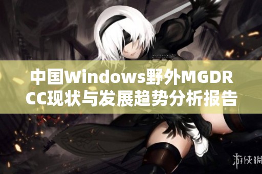 中国Windows野外MGDRCC现状与发展趋势分析报告