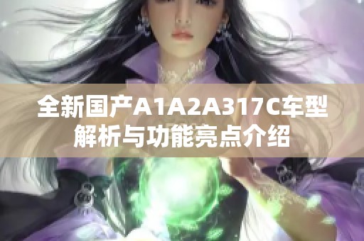 全新国产A1A2A317C车型解析与功能亮点介绍