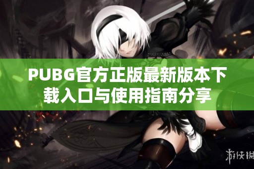 PUBG官方正版最新版本下载入口与使用指南分享