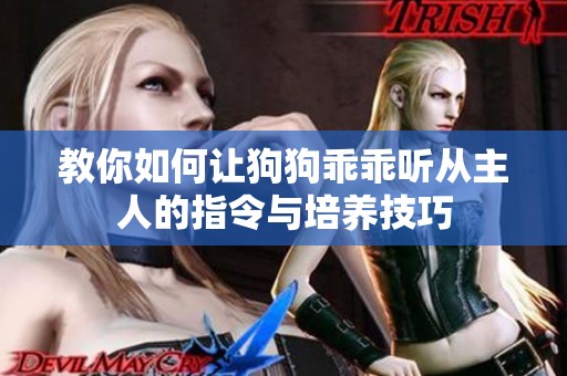 教你如何让狗狗乖乖听从主人的指令与培养技巧