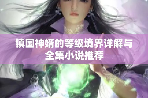 镇国神婿的等级境界详解与全集小说推荐