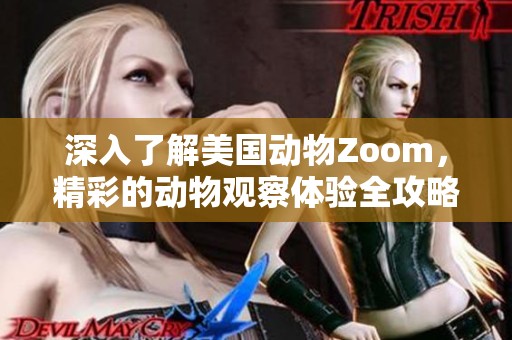 深入了解美国动物Zoom，精彩的动物观察体验全攻略