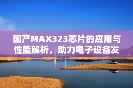 国产MAX323芯片的应用与性能解析，助力电子设备发展