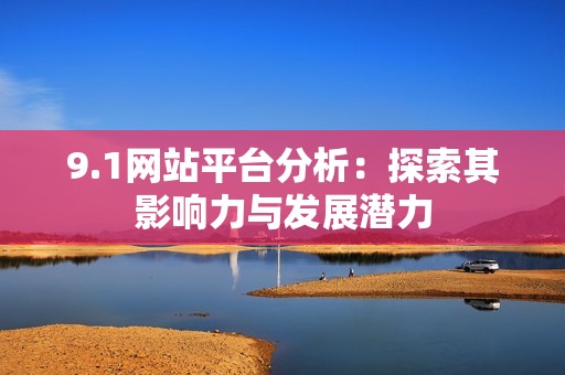 9.1网站平台分析：探索其影响力与发展潜力