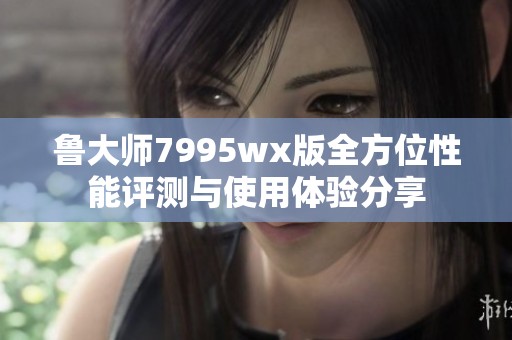 鲁大师7995wx版全方位性能评测与使用体验分享