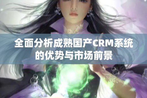 全面分析成熟国产CRM系统的优势与市场前景